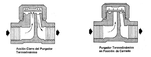 Purgador-Termodinamico-1