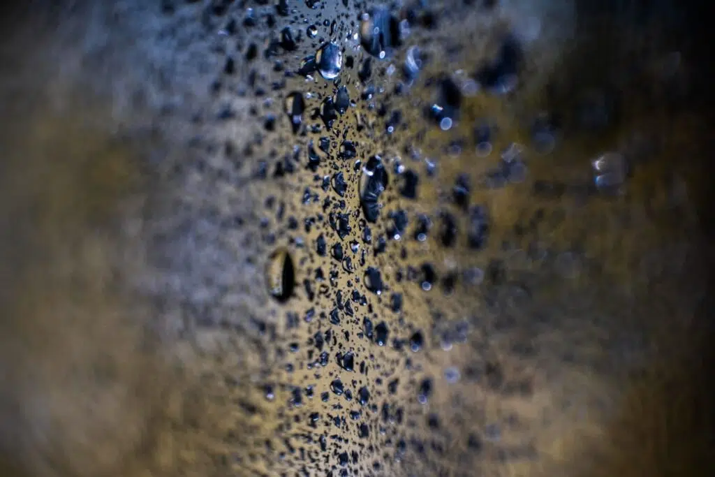 Humedad Ambiental: Influencia y formas de medirla 1 Humedad Ambiental