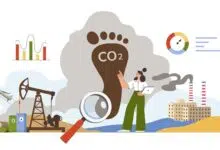 Huella de carbono en España: Registro y obligaciones 30 Huella de Carbono