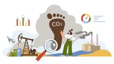 Huella de carbono en España: Registro y obligaciones 6 Huella de Carbono